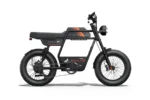 Riding Times GT33 Cargo Electric Bike -