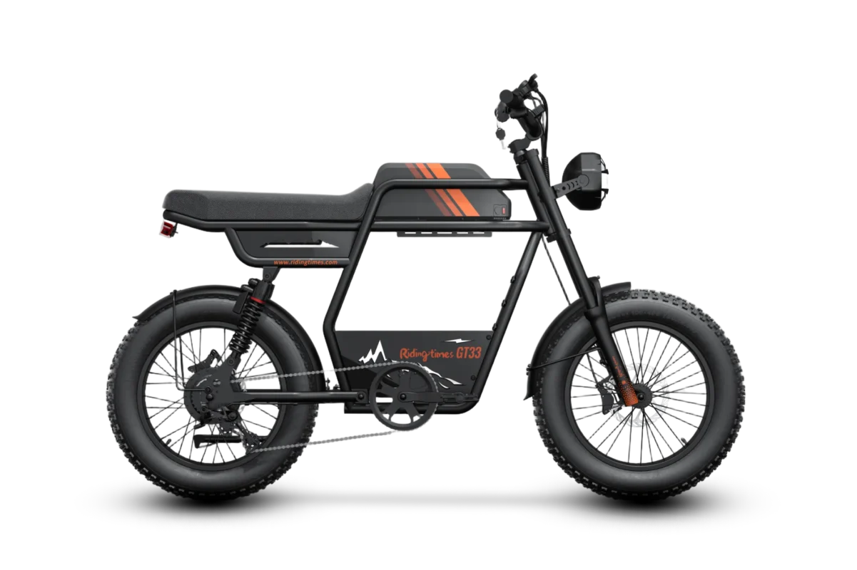 Riding Times GT33 Cargo Electric Bike