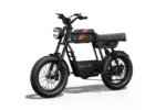 Riding Times GT33 Cargo Electric Bike - Riding
